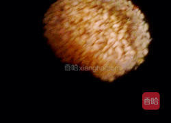 金玉满堂的做法图解1