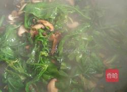 香菇炒菠菜的做法图解6