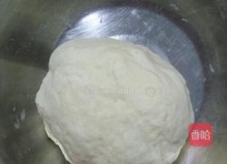 团团圆圆（生煎包）的做法图解1
