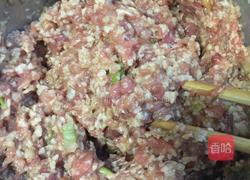 红烧狮子头的做法图解4