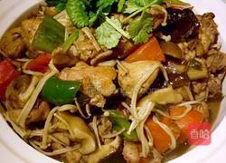 黄焖鸡的做法图解9