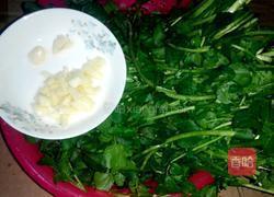 爆炒西洋菜的做法图解2