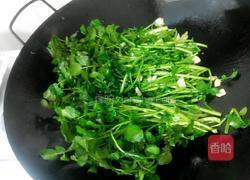 爆炒西洋菜的做法图解4