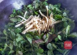 豆苗炒百叶的做法图解2