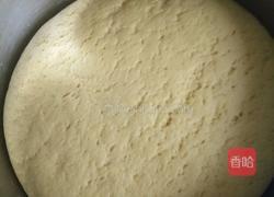 面食菊花的做法图解4