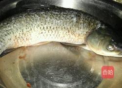 酸菜鱼的做法图解1