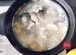 山药鲫鱼汤的做法图解8