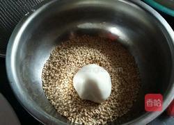 芝麻球的做法图解9