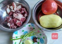 番茄土豆牛肉汤的做法图解1