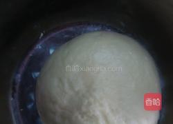 葡萄司康（发酵版）的做法图解9