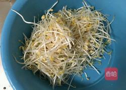 韭菜银芽的做法图解2