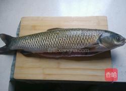 肥肠鱼的做法图解1