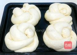 淡奶油面包的做法图解12