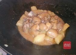 红烧萝卜羊肉的做法图解6