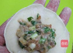 鱿鱼三鲜馅儿饺子的做法图解16