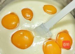 糖渍橙皮轻乳酪蛋糕的做法图解2