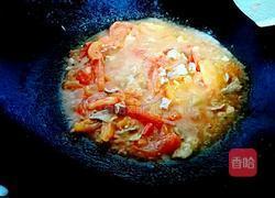 瘦肉煮番茄的做法图解5