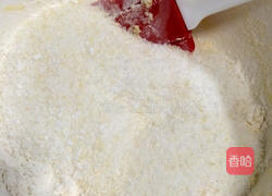 椰丝球的做法图解6