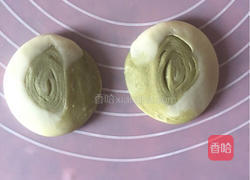 抹茶酥的做法圖解17