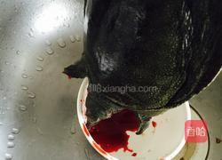 红烧甲鱼的做法图解1