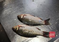 双剁椒开胃鲫鱼的做法图解1