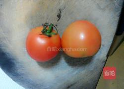 番茄豆腐焖的做法图解4