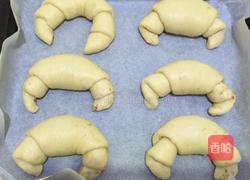 全麦牛角豆沙餐包的做法图解10