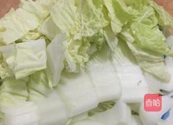 白菜豆腐汤的做法图解1