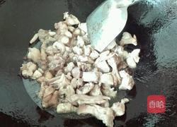 兔子烧红萝卜的做法图解6