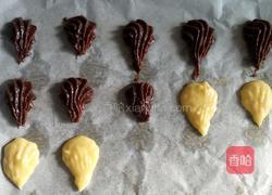 双色天鹅泡芙的做法图解7