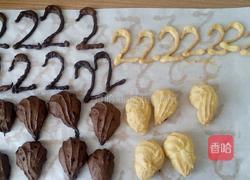 双色天鹅泡芙的做法图解12