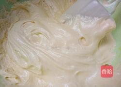 蛋黄小饼干的做法图解9