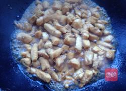 火龙果炒鸡丁的做法图解4