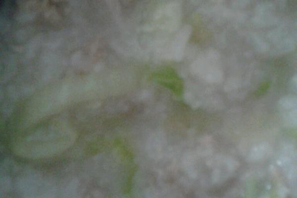 青菜瘦肉粥