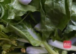 清炒菜心的做法图解1