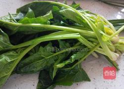 菠蒜红油澡(芥末味)的做法图解2