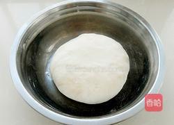 胡萝卜木耳鲜肉馄饨的做法图解3