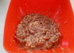 胡萝卜木耳鲜肉馄饨的做法图解7