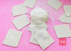 胡萝卜木耳鲜肉馄饨的做法图解11