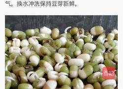 自制豆芽的做法图解2
