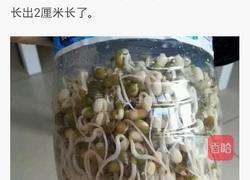 自制豆芽的做法图解4