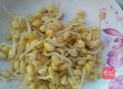 凉拌豆芽海带的做法图解1