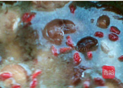 香菇炖排骨的做法图解5