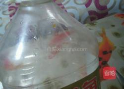 塑料豆油桶栽蒜苗的做法图解1