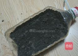 塑料豆油桶栽蒜苗的做法图解6