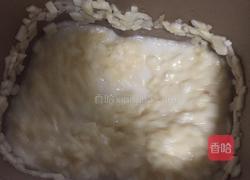 苹果酱的做法图解8