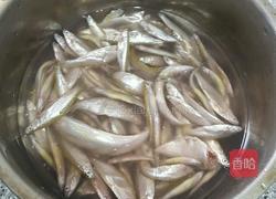 煎野生河鱼的做法图解1