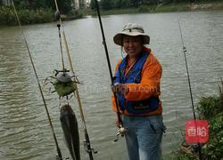 煎野生河鱼的做法图解7