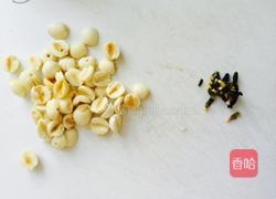 银耳莲子百合粥的做法图解4