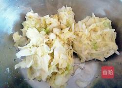 快手辣白菜的做法图解4